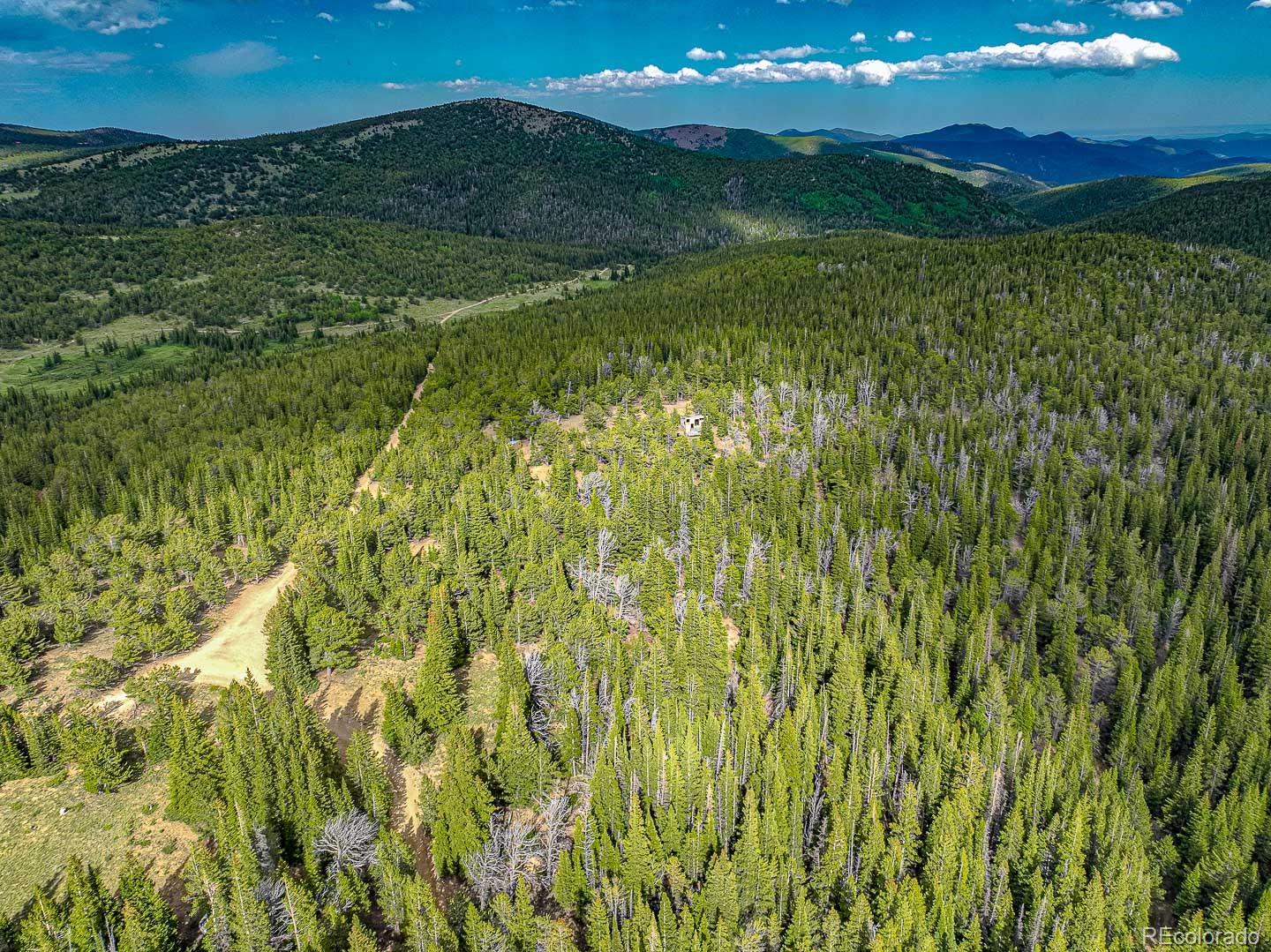 111 Mosquito Creek Road Idaho Springs, CO 80452 - Photo 26 of 50 a view of an lush green forest