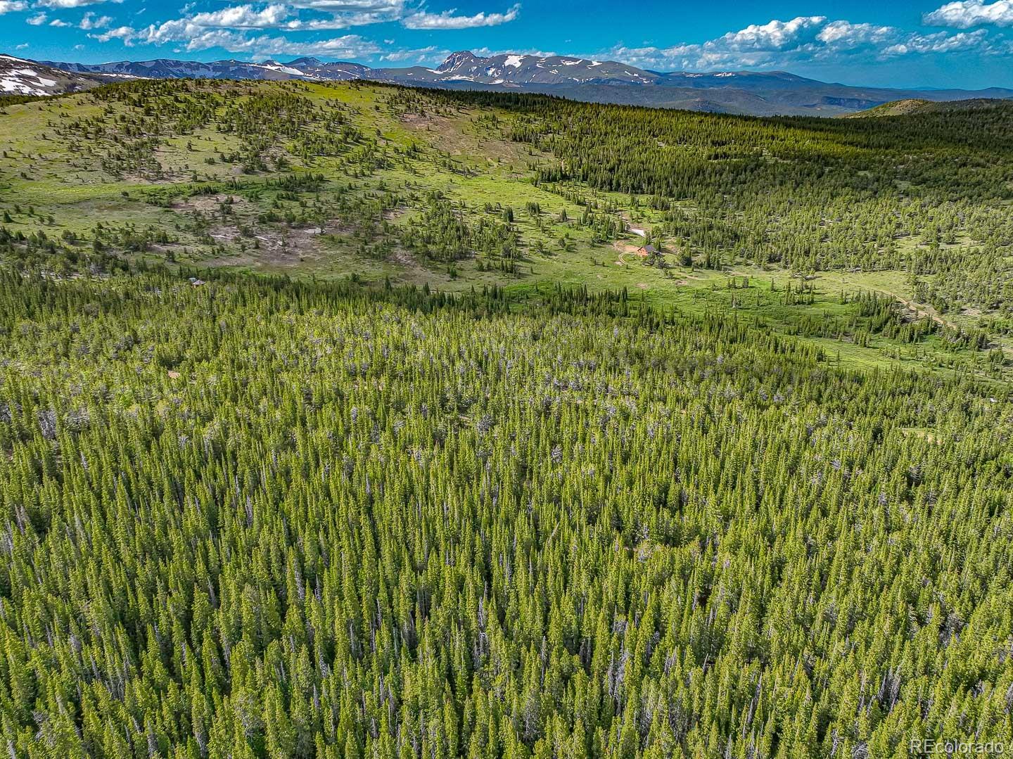 111 Mosquito Creek Road Idaho Springs, CO 80452 - Photo 31 of 50 a view of yard with an outdoor space