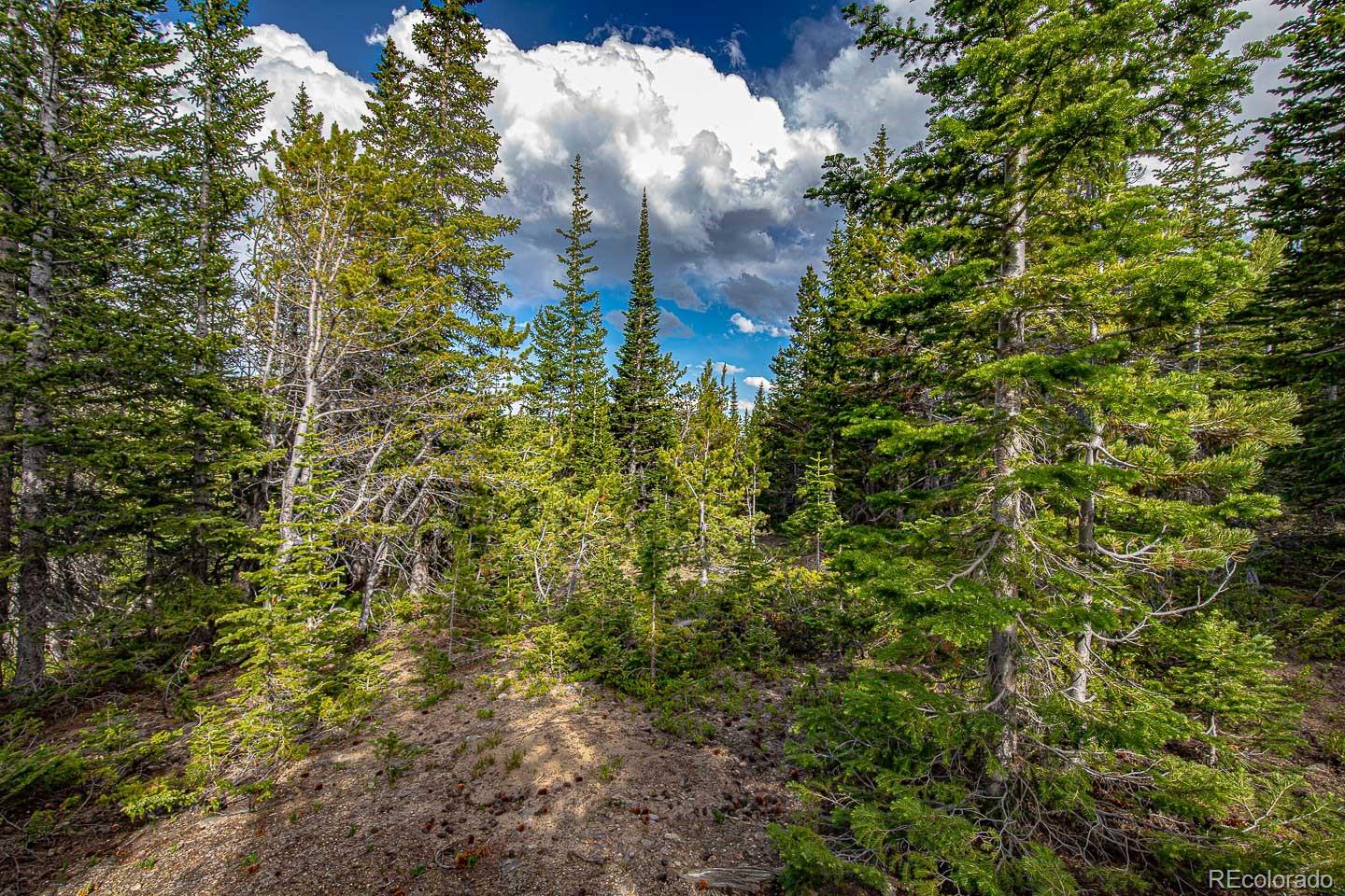 111 Mosquito Creek Road Idaho Springs, CO 80452 - Photo 37 of 50 a view of a yard