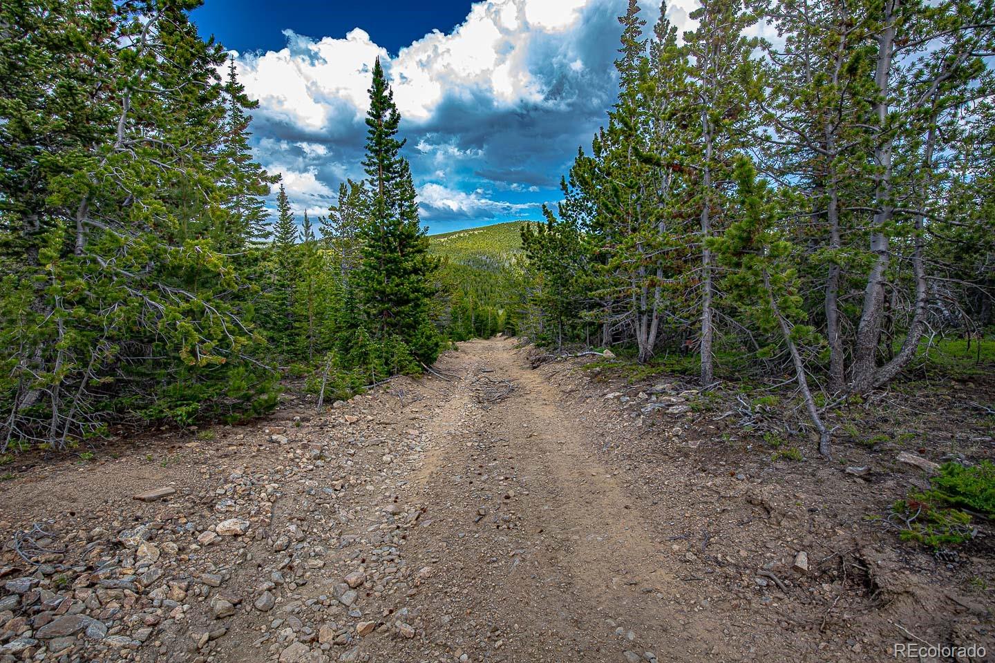 111 Mosquito Creek Road Idaho Springs, CO 80452 - Photo 41 of 50 a view of a forest with trees in front of it
