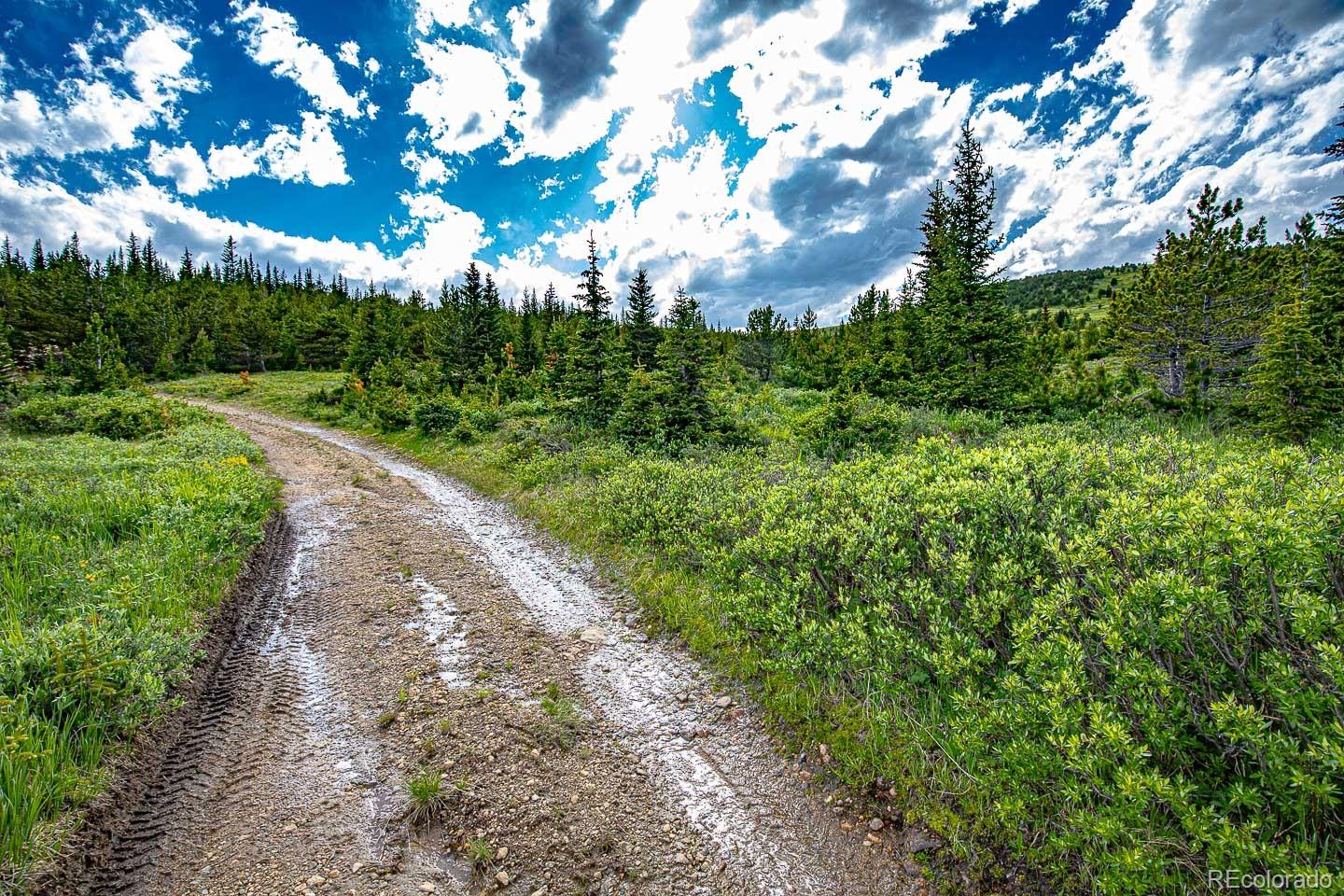 111 Mosquito Creek Road Idaho Springs, CO 80452 - Photo 44 of 50 a view of a garden with trees