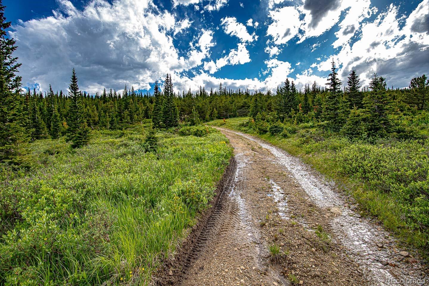 111 Mosquito Creek Road Idaho Springs, CO 80452 - Photo 45 of 50 a view of a street with a yard