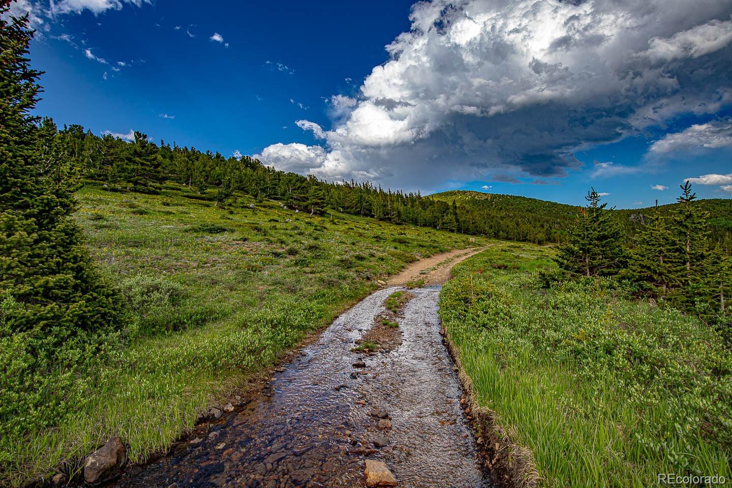 111 Mosquito Creek Road Idaho Springs, CO 80452 - Photo 46 of 50 a view of a pathway both side of grassy field with shrub