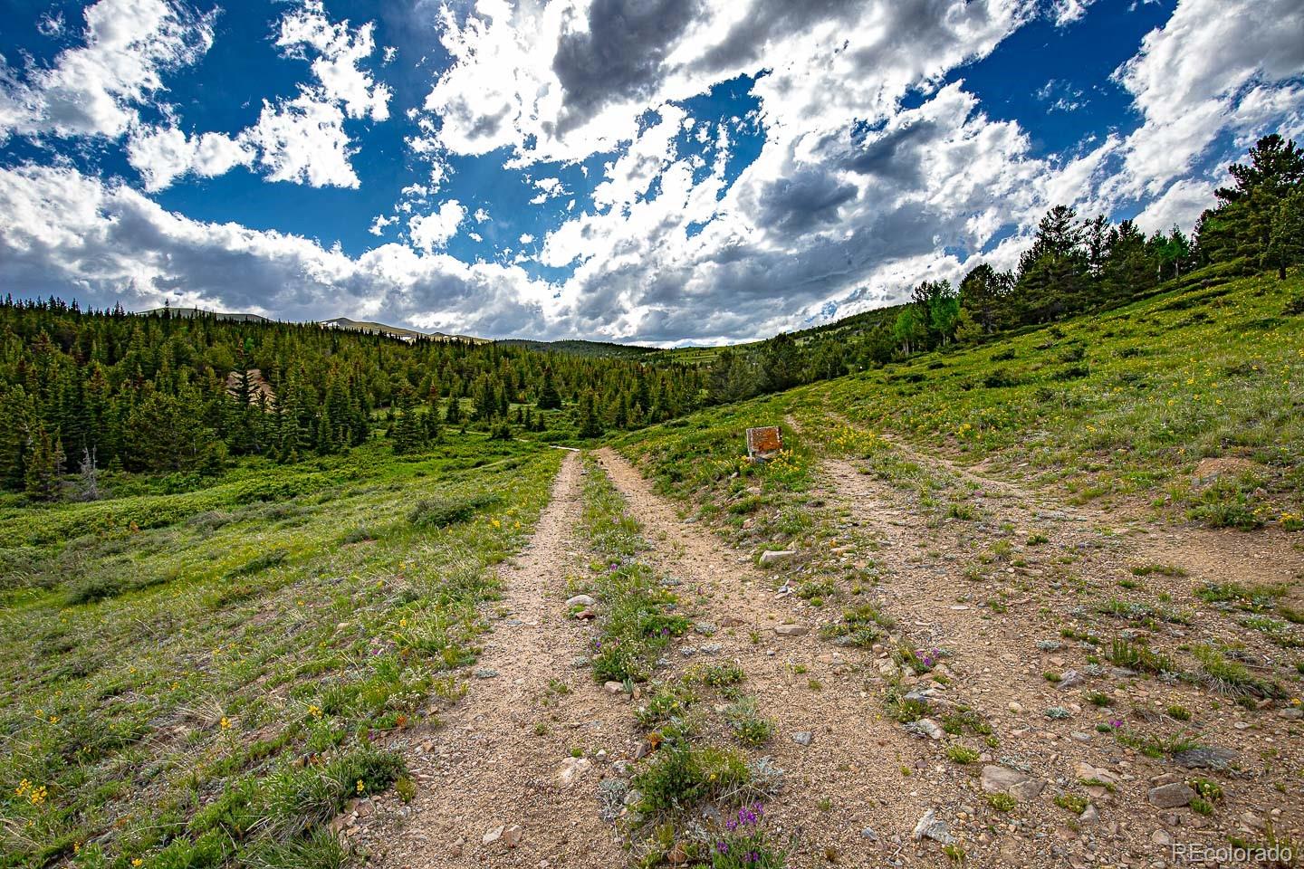 111 Mosquito Creek Road Idaho Springs, CO 80452 - Photo 48 of 50 a view of an outdoor space and a yard