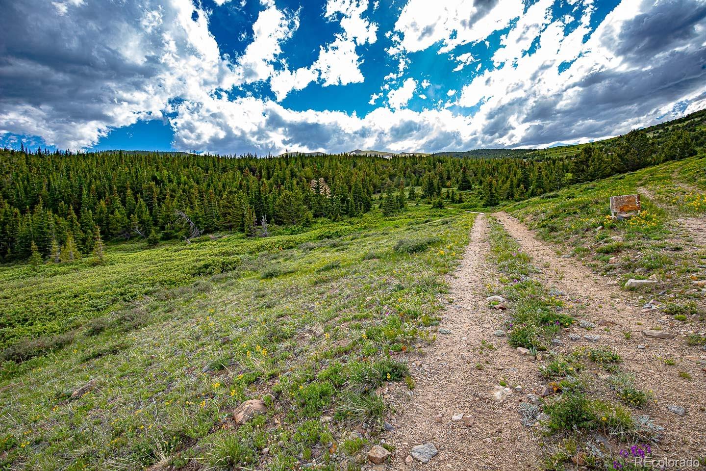 111 Mosquito Creek Road Idaho Springs, CO 80452 - Photo 49 of 50 a view of a big yard with lots of green space