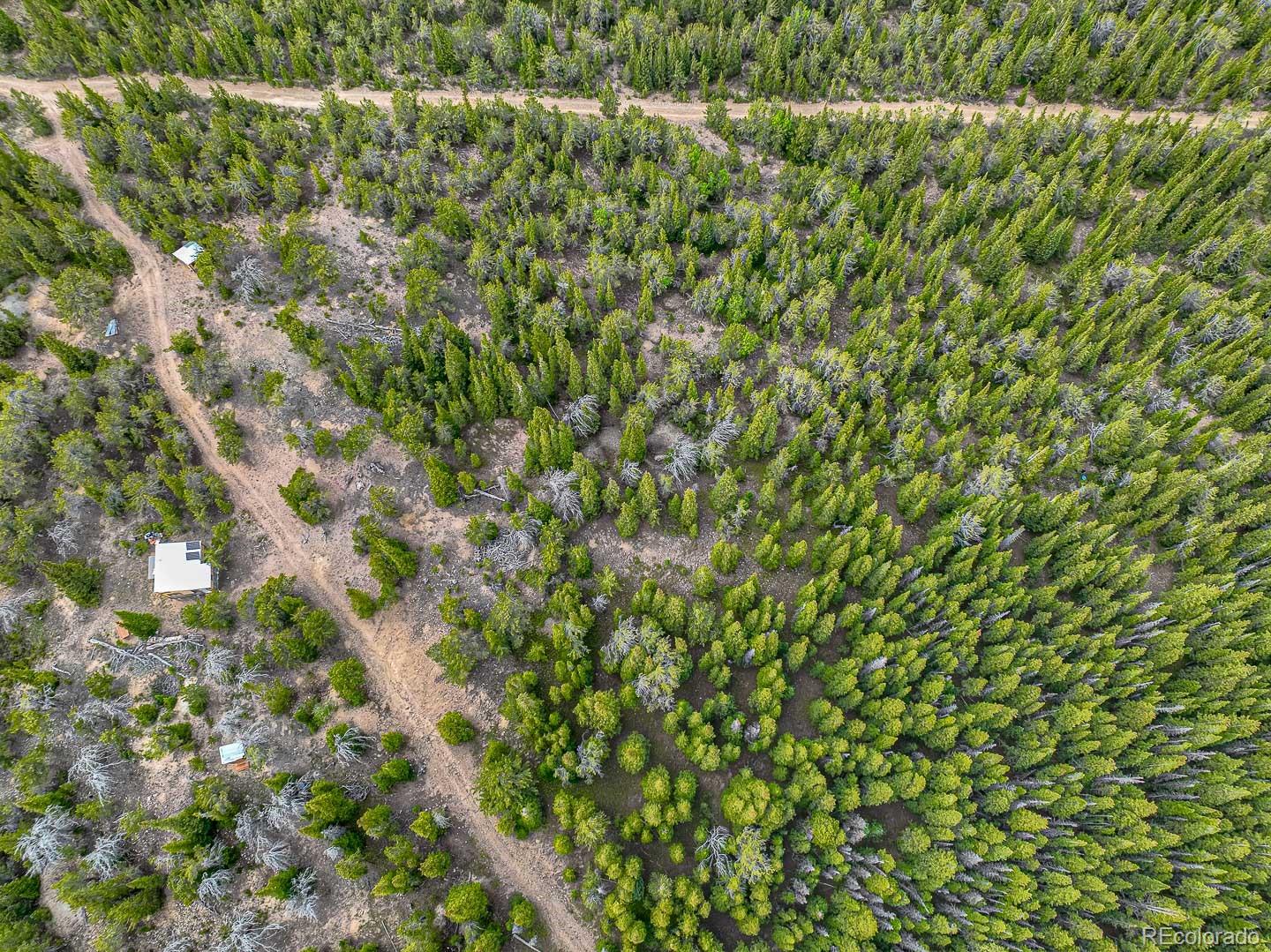 111 Mosquito Creek Road Idaho Springs, CO 80452 - Photo 6 of 50 a view of a lush green field