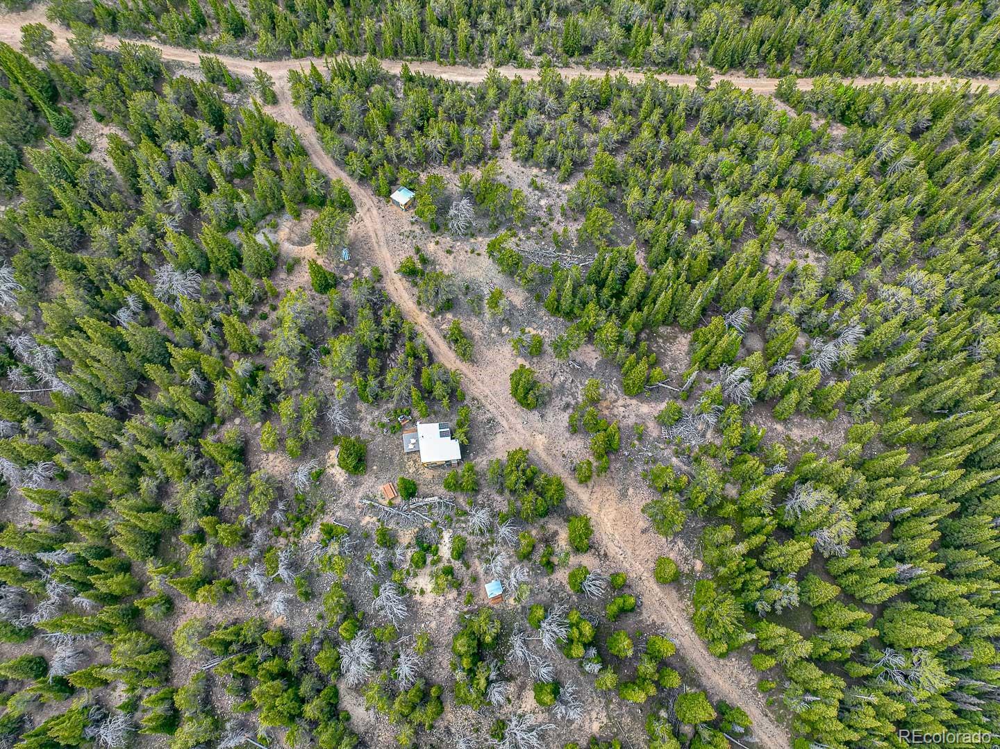 111 Mosquito Creek Road Idaho Springs, CO 80452 - Photo 7 of 50 a view of a forest