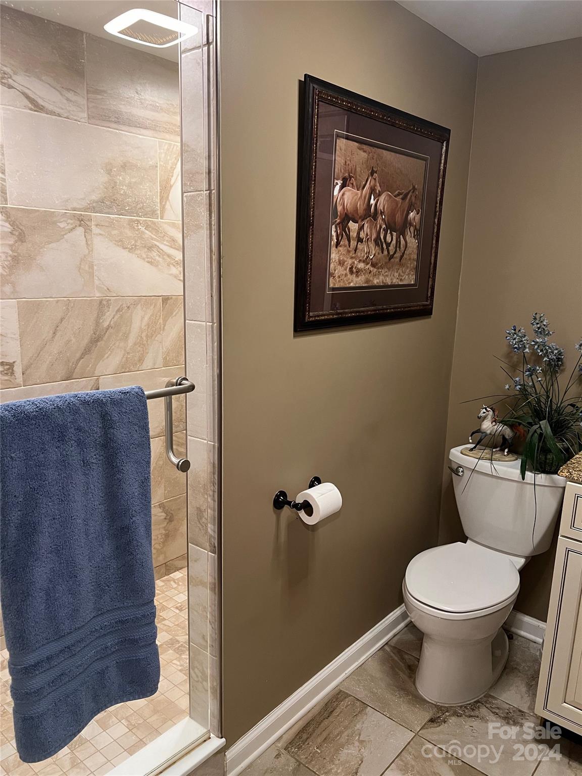 500 Reeves Cove Road Candler, NC 28715 - Photo 34 of 48 Gallery Image 34