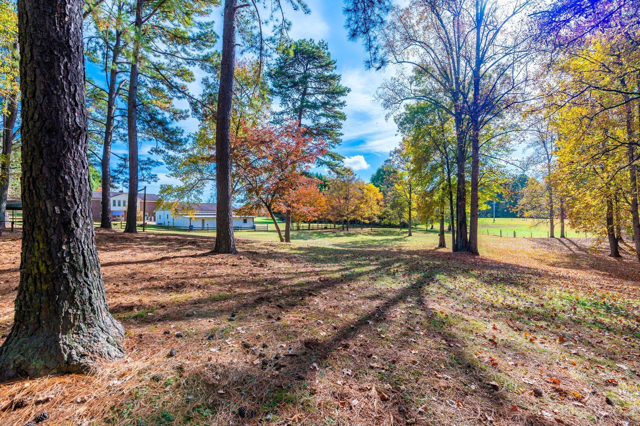 1774 Smith Farm Road Lincolnton, NC 28092 - Photo 39 of 47 Gallery Image 39