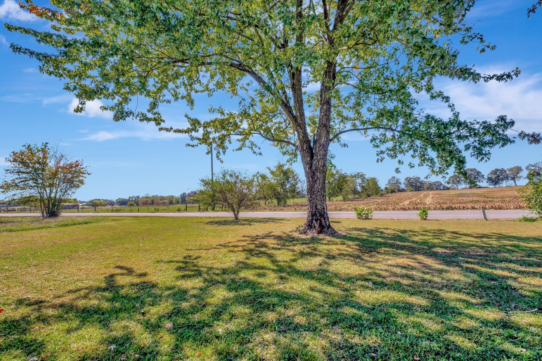 38 Big Springs Road Lawrenceburg, TN 38464 - Photo 7 of 37 Gallery Image 7