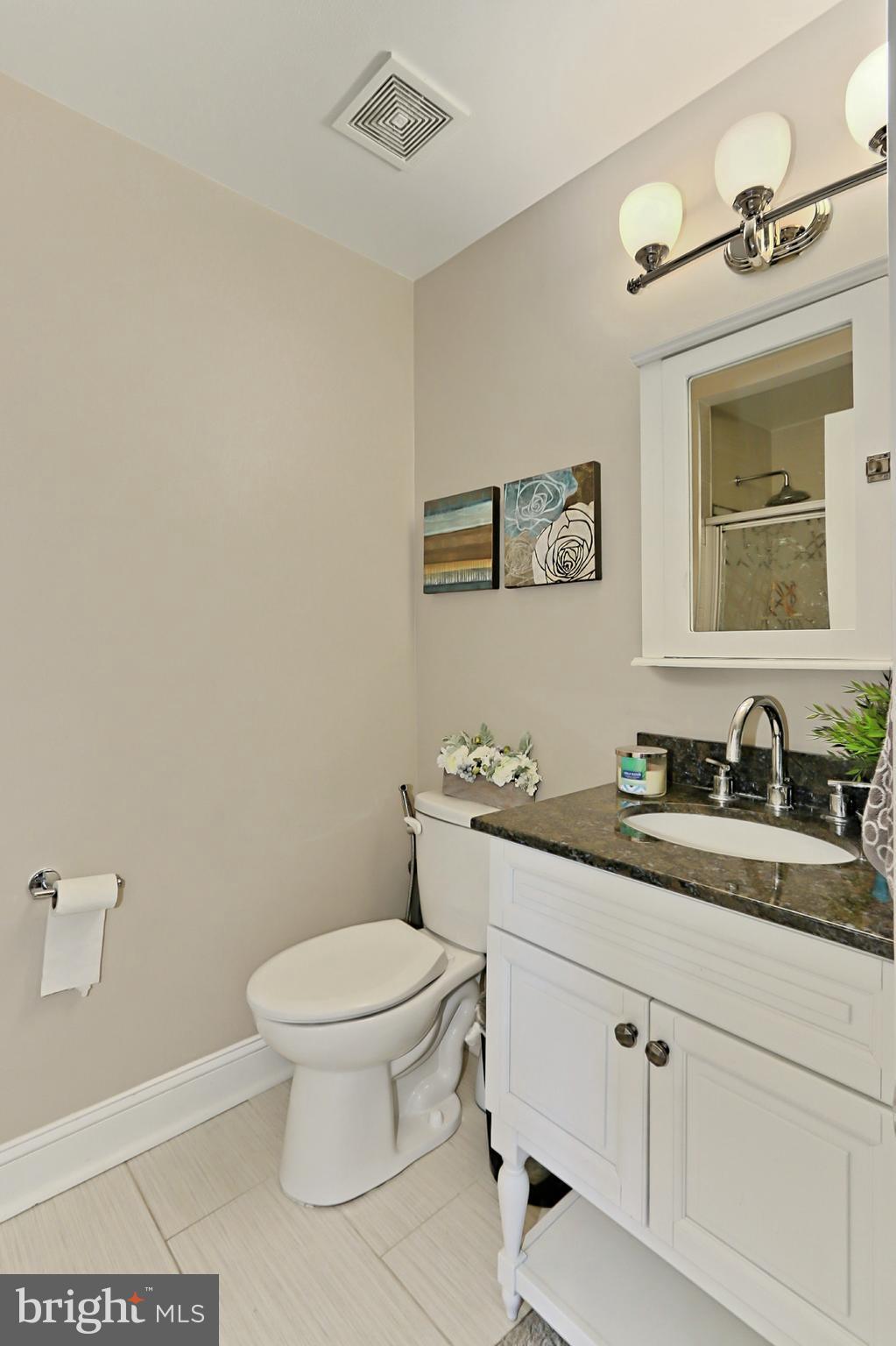 10496 Dunn Meadow Road Vienna, VA 22182 - Photo 18 of 29 Bath