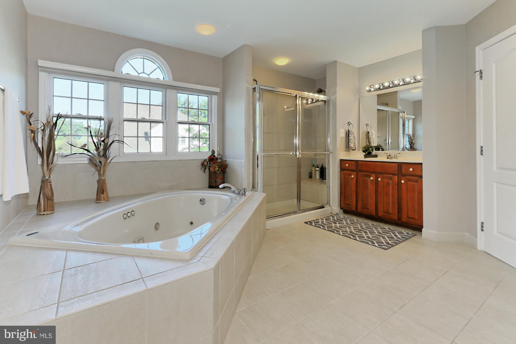 10496 Dunn Meadow Road Vienna, VA 22182 - Photo 20 of 29 Bath (Master)