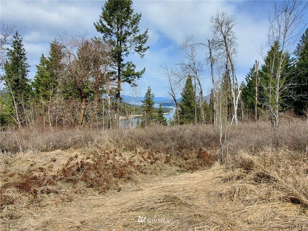 -tbd Bissell Road Hunters, WA 99137 - Photo 2 of 30 a view of a dry yard with trees