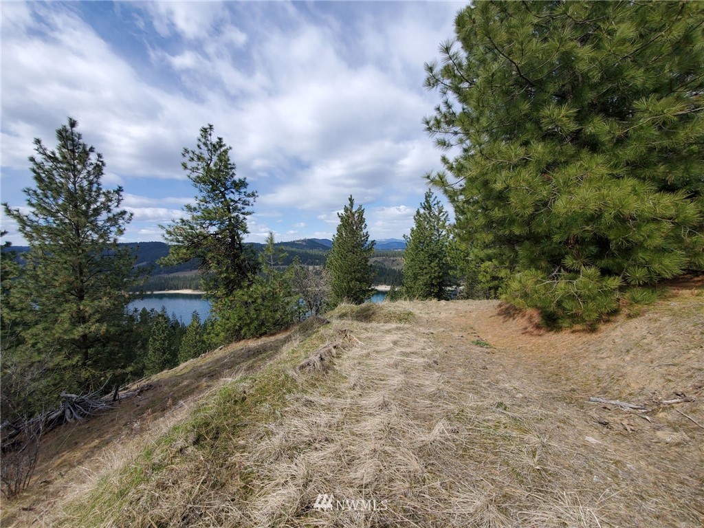 -tbd Bissell Road Hunters, WA 99137 - Photo 15 of 30 a big yard with lots of green space and plants