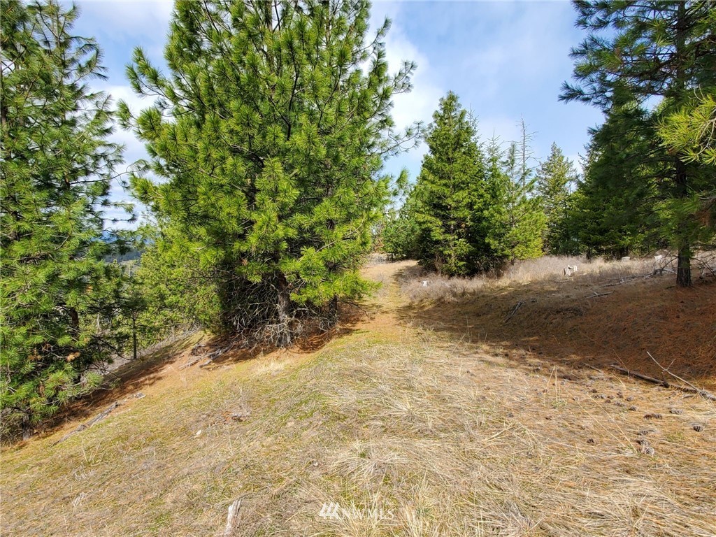 -tbd Bissell Road Hunters, WA 99137 - Photo 16 of 30 a view of a pathway with a yard