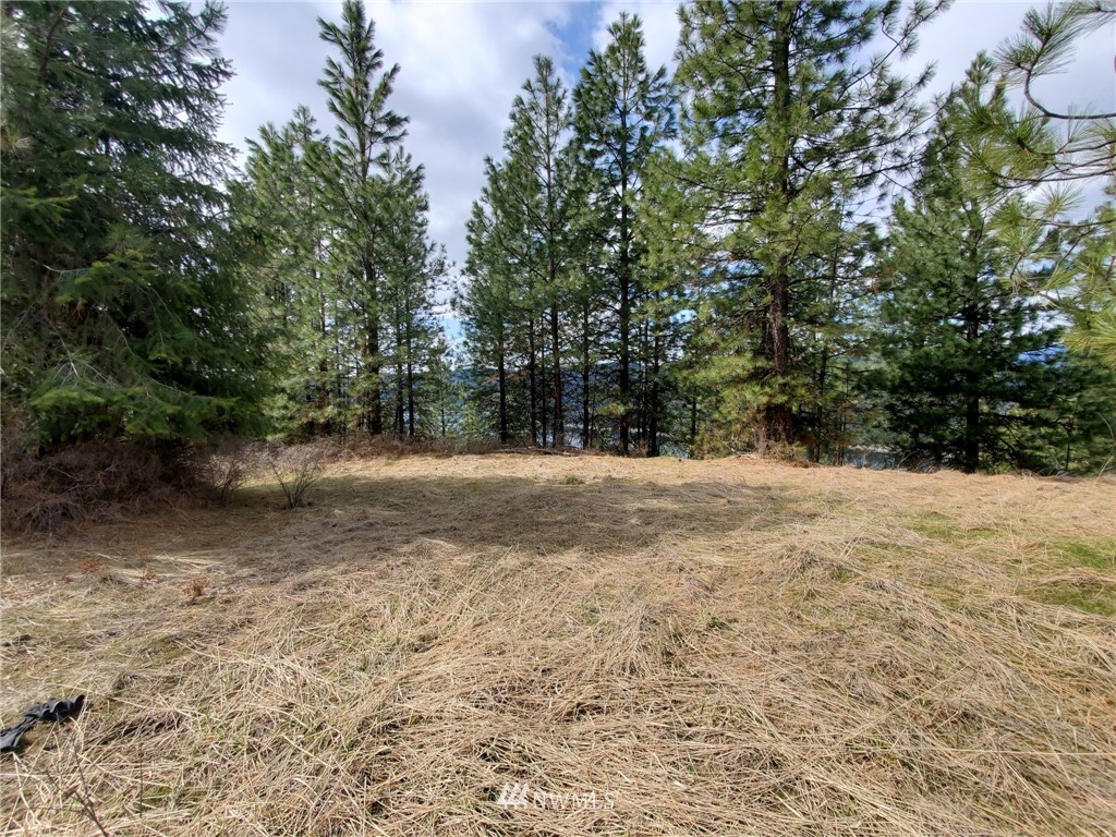 -tbd Bissell Road Hunters, WA 99137 - Photo 20 of 30 a view of dirt yard with a trees