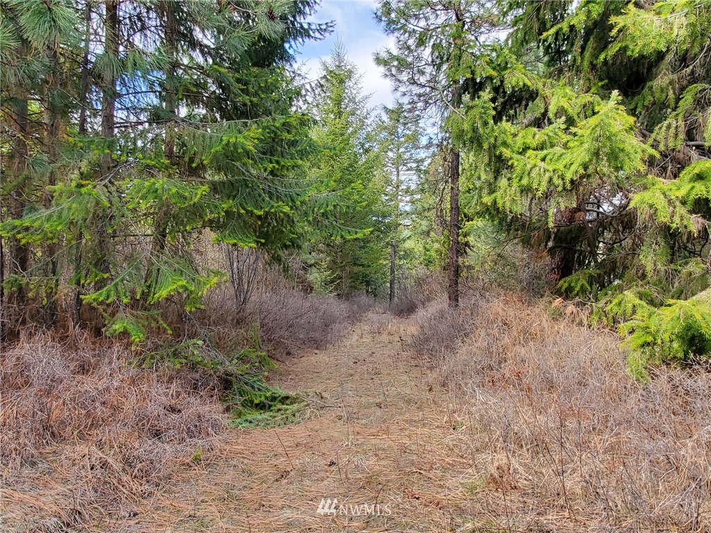 -tbd Bissell Road Hunters, WA 99137 - Photo 24 of 30 a backyard of a house with lots of green space