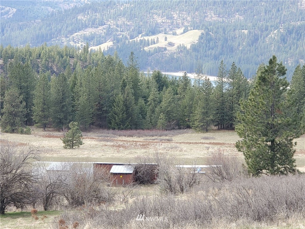 -tbd Bissell Road Hunters, WA 99137 - Photo 27 of 30 a view of a yard with a tree