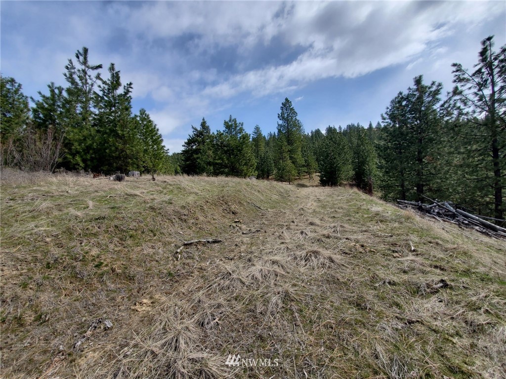 -tbd Bissell Road Hunters, WA 99137 - Photo 9 of 30 a pathway with a yard