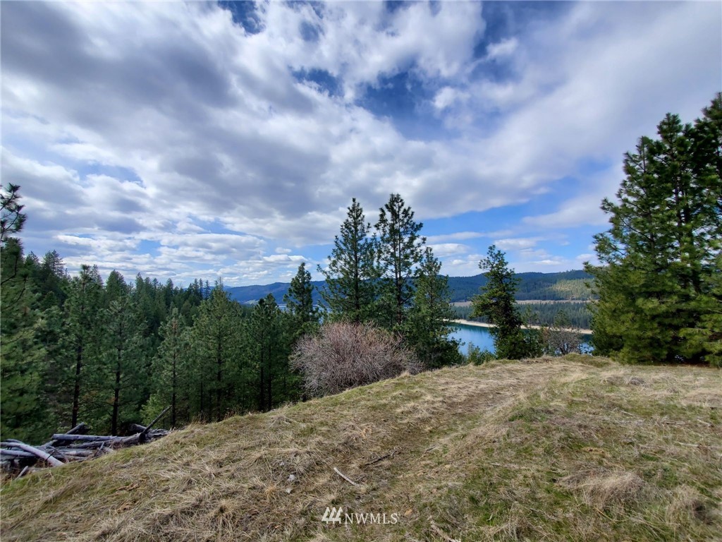 -tbd Bissell Road Hunters, WA 99137 - Photo 10 of 30 a view of a road with a yard