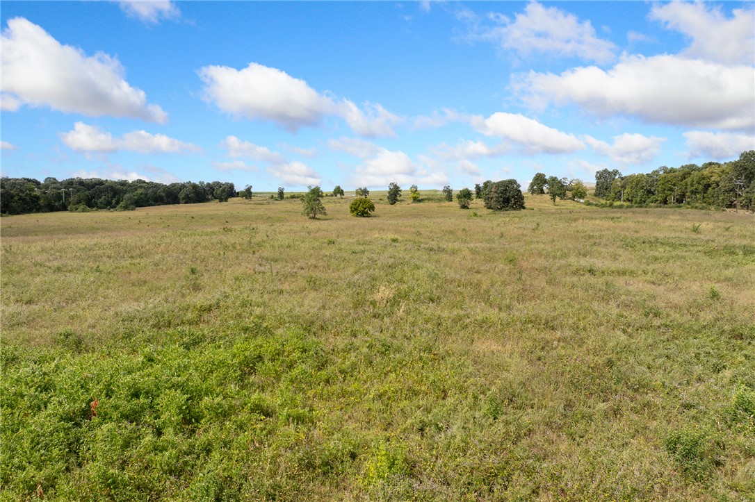 806 Gipson Road Harrison, AR 72601 - Photo 17 of 20 Gallery Image 17