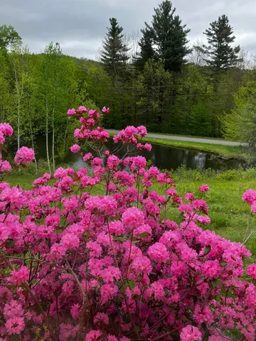 $470,000 | 24 Antler Loop, West Dover, VT 05356