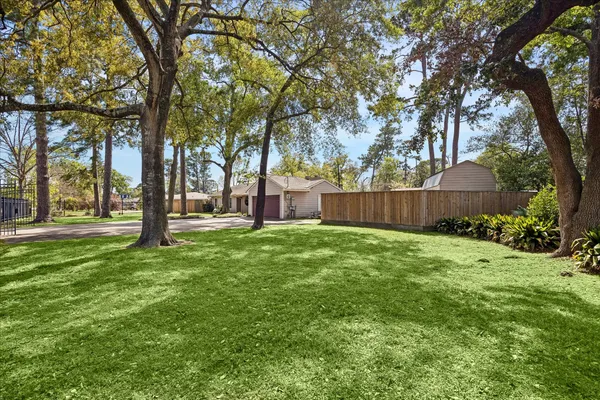 a view of a backyard with large trees and wooden fence
