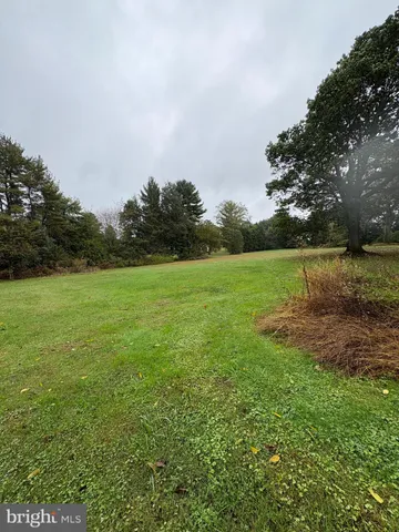 a view of a field with trees in the background