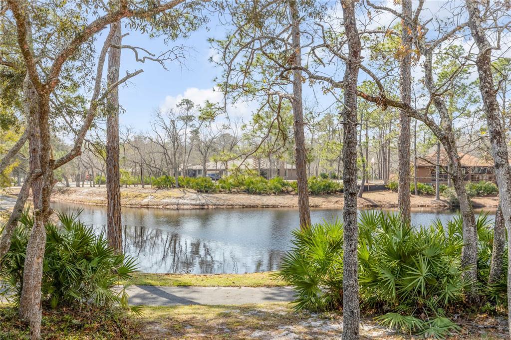 49 Crooked Pine Road Port Orange, FL 32128 - Photo 30 of 39