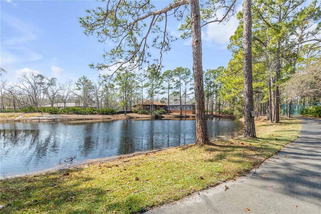 49 Crooked Pine Road Port Orange, FL 32128 - Photo 33 of 39