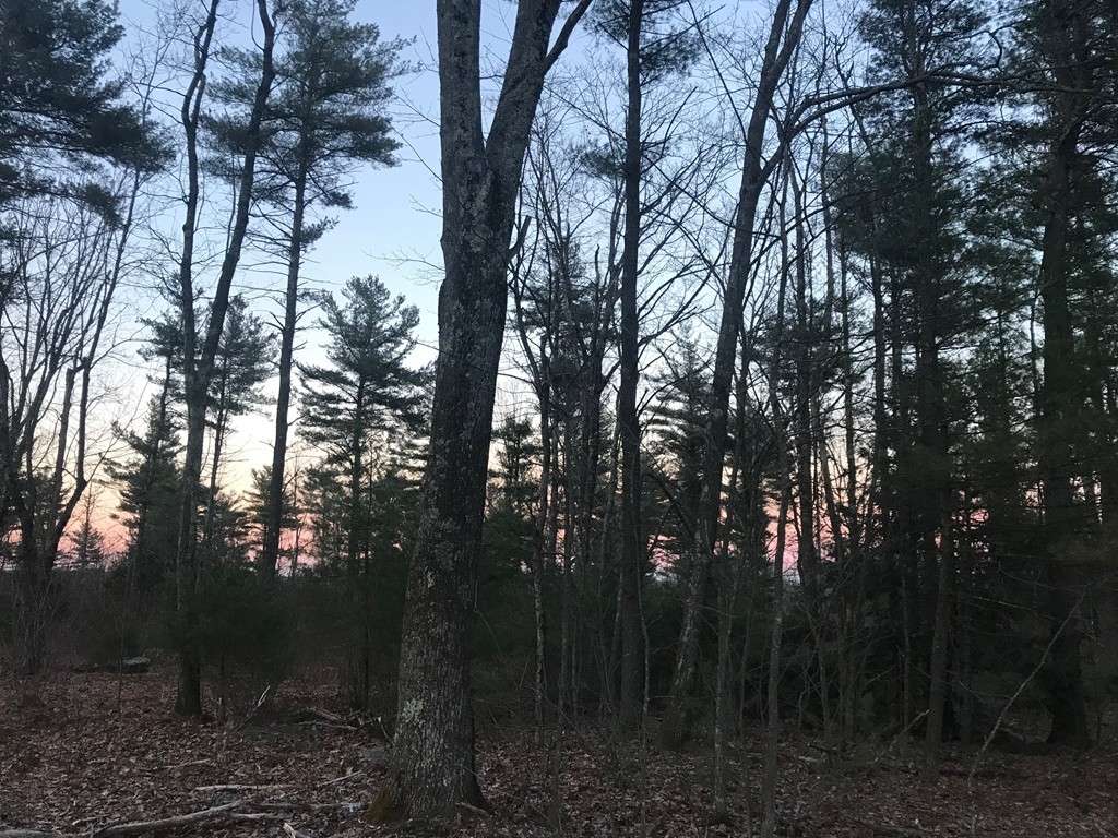 Lot 10 Ridge Road Rutland, MA 01543 - Photo 3 of 6 Gallery Image 3