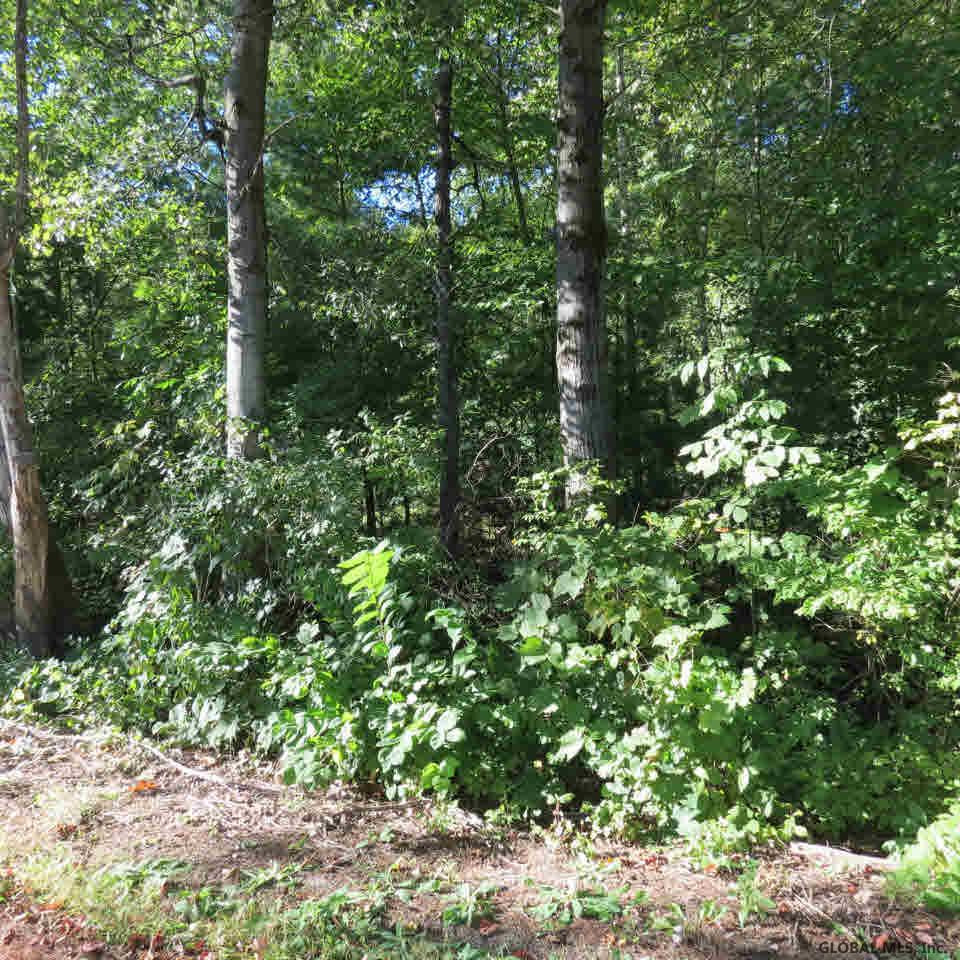 47-49 Sweet Road Moreau, NY 12831 - Photo 1 of 5 Photo 1