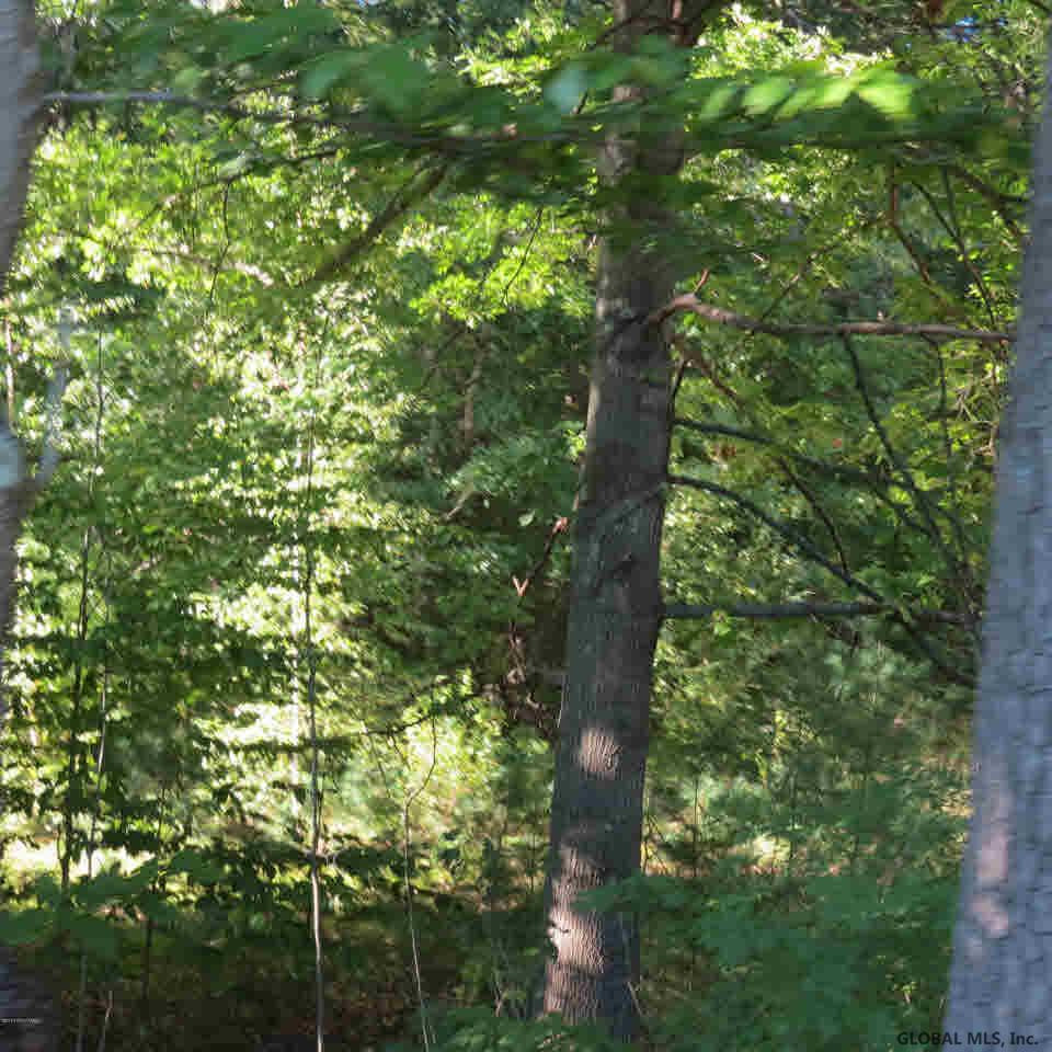 47-49 Sweet Road Moreau, NY 12831 - Photo 3 of 5 Photo 3