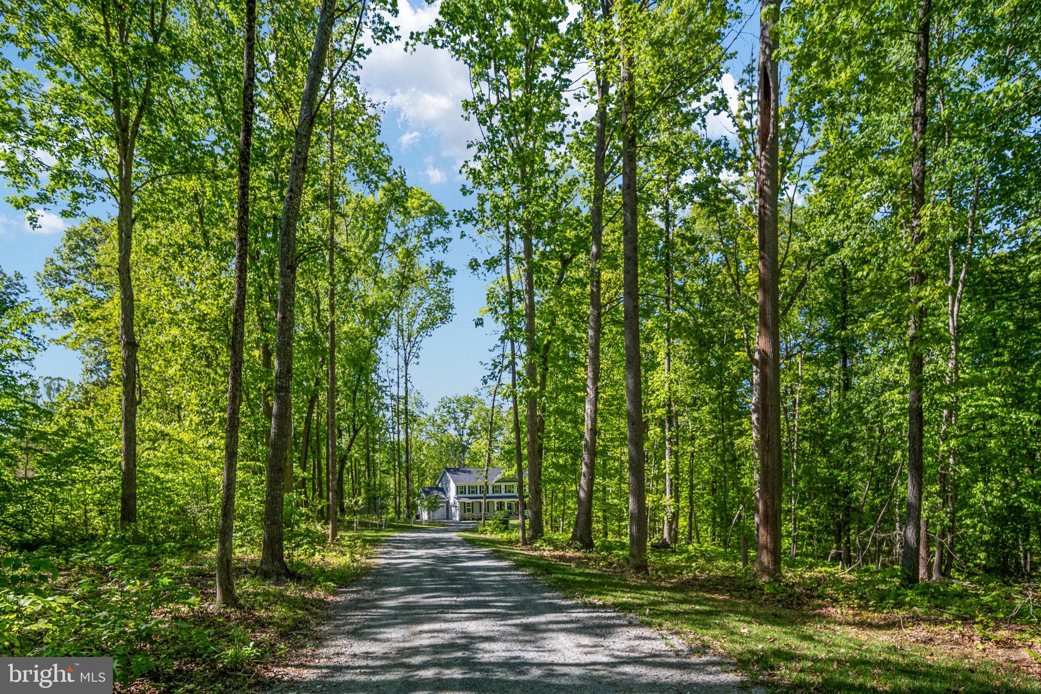 52 Acorn Ridge Court Fredericksburg, VA 22406 - Photo 90 of 101 Long Driveway