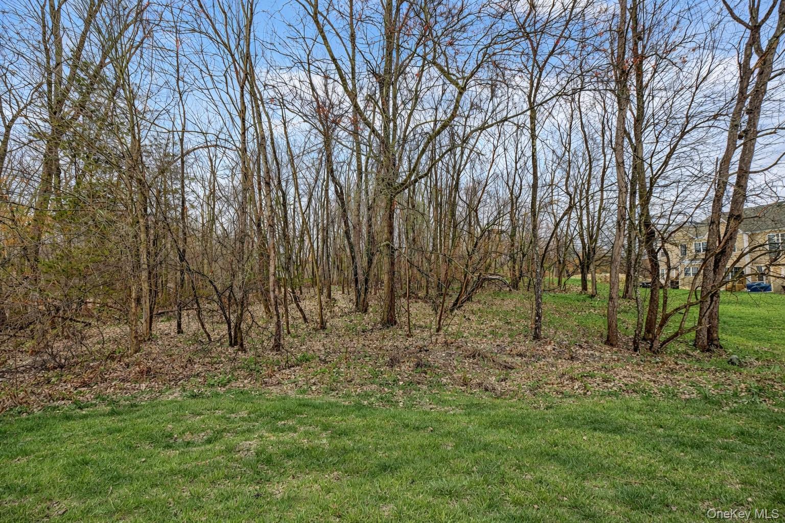 1123 Cold Spring Road Fishkill, NY 12524 - Photo 38 of 44 a view of outdoor space with trees