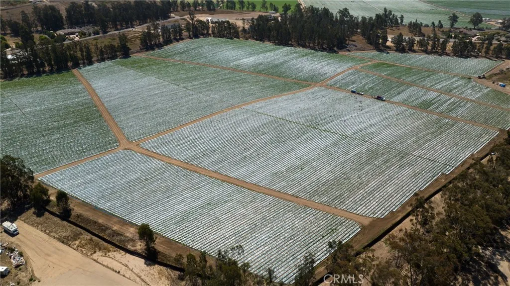 0 Indiana Los Angeles, CA 90063 - Photo 21 of 22 a view of a backyard