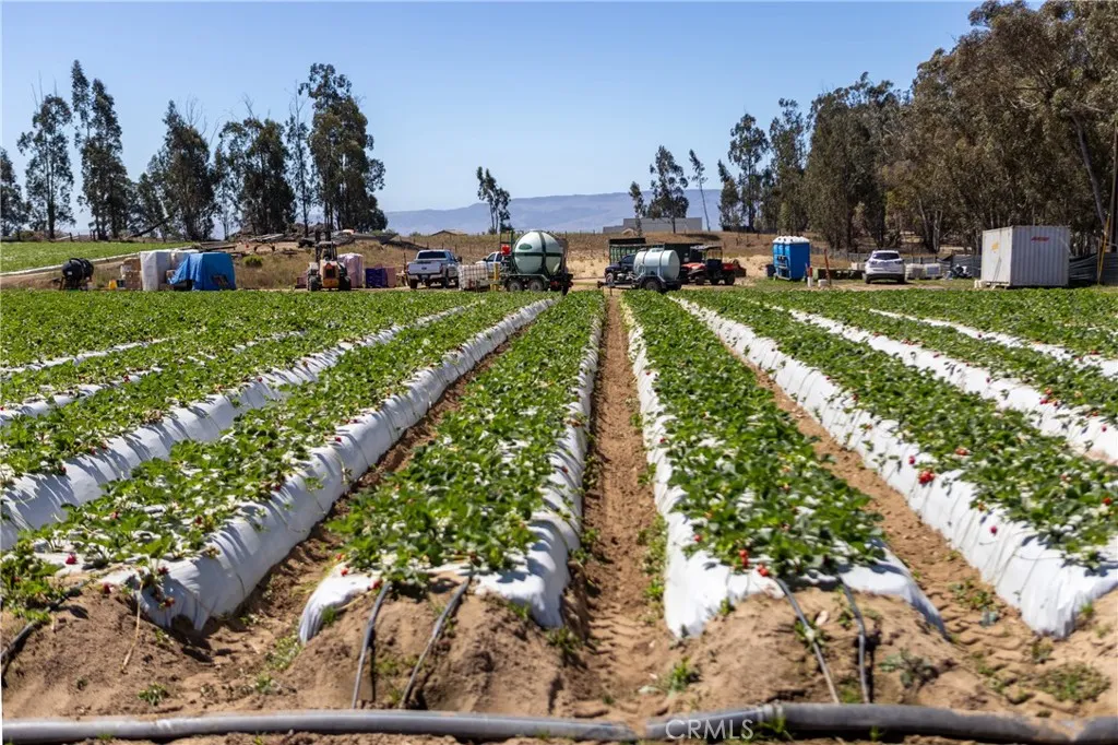0 Indiana Los Angeles, CA 90063 - Photo 4 of 22 a view of a lake with houses