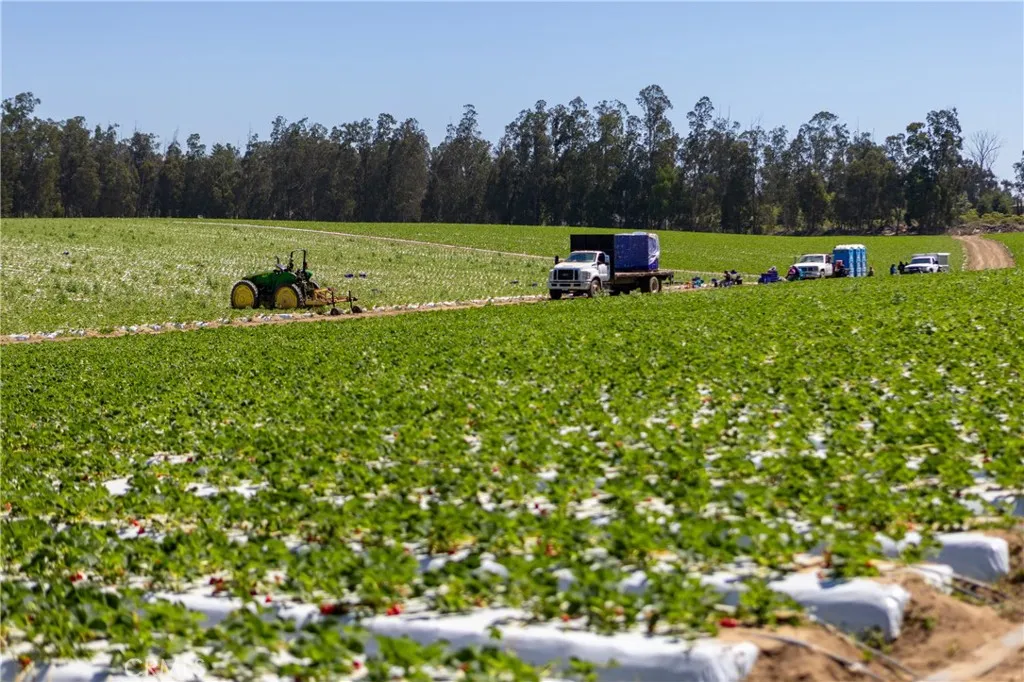 0 Indiana Nipomo, CA 93444 - Photo 5 of 22 a view of outdoor space with garden and trees