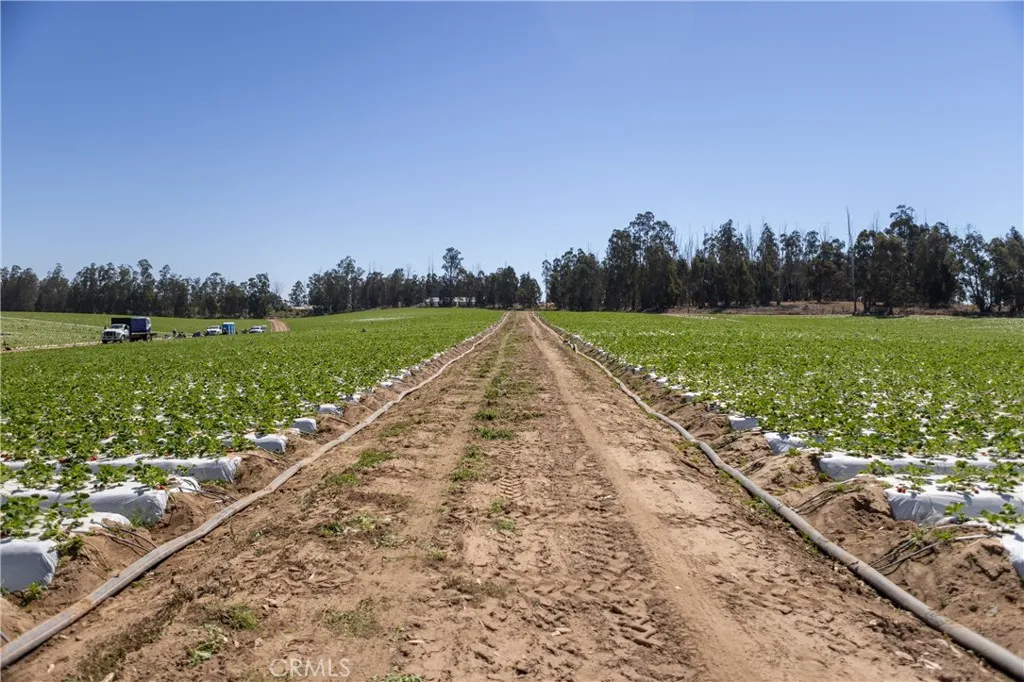 0 Indiana Nipomo, CA 93444 - Photo 6 of 22 a view of a park with a big yard and potted plants