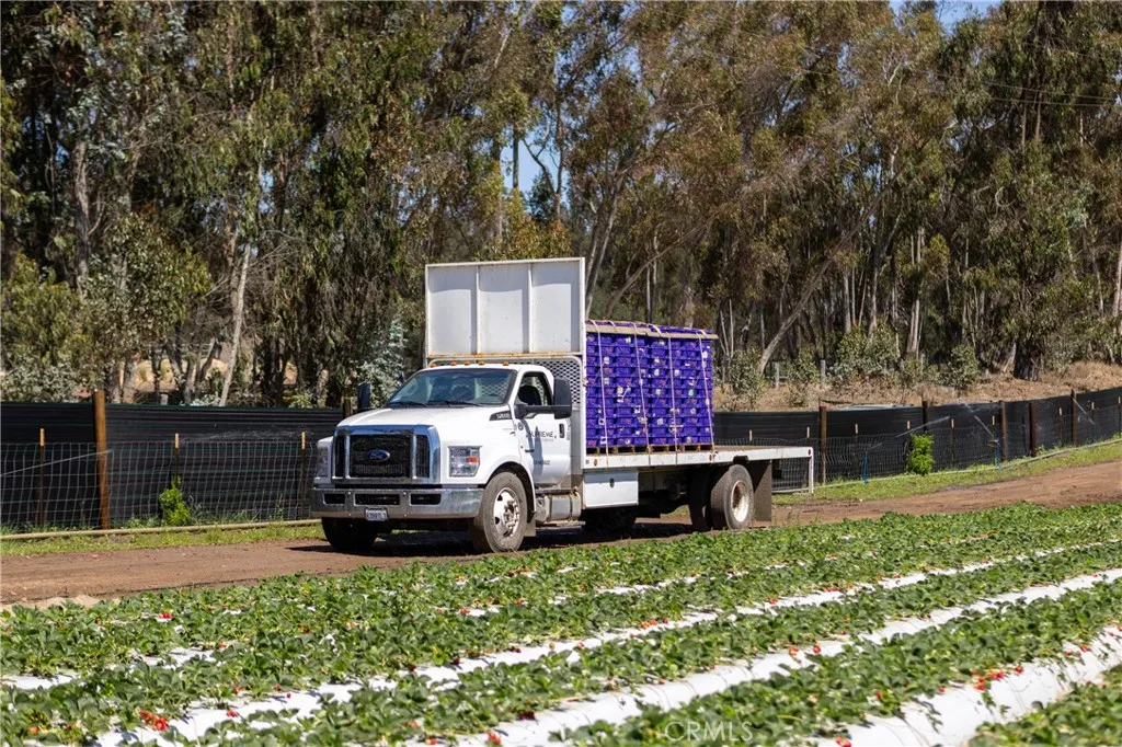 0 Indiana Los Angeles, CA 90063 - Photo 7 of 22 a front view of a house with garden