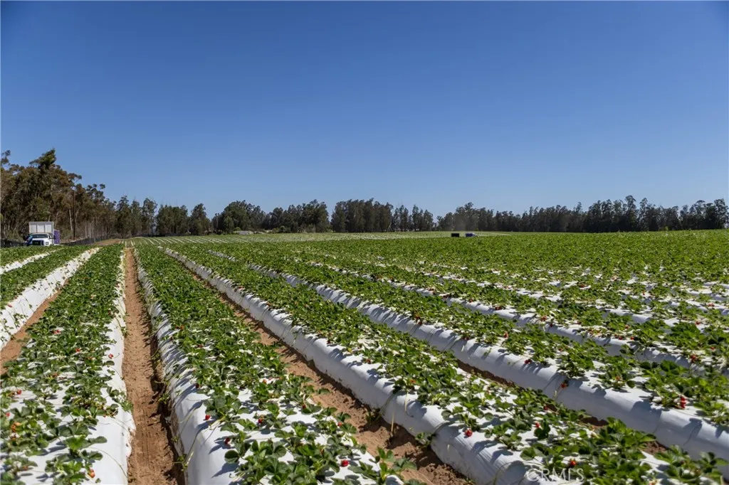 0 Indiana Nipomo, CA 93444 - Photo 9 of 22 a view of a field with an ocean