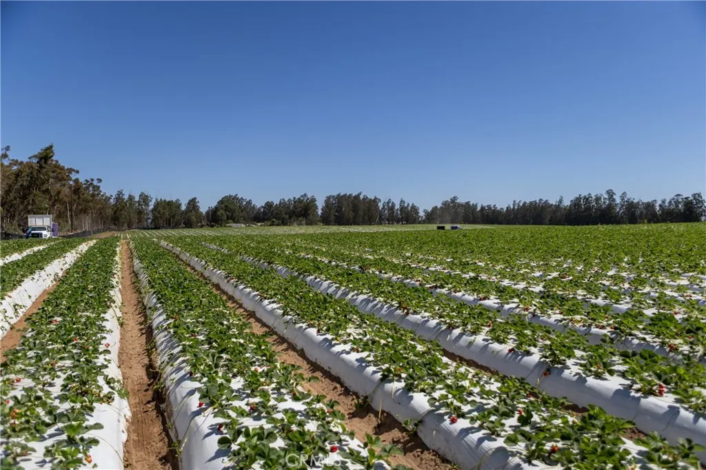 0 Indiana Los Angeles, CA 90063 - Photo 9 of 22 a view of a field with an ocean