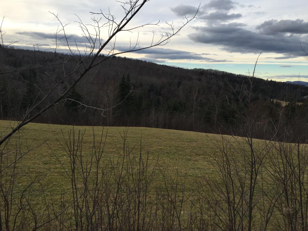 No # Cabot Road Hardwick, VT 05843 - Photo 4 of 5