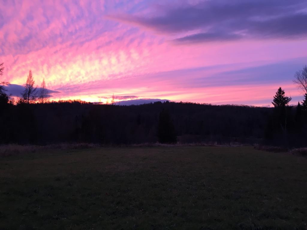 No # Cabot Road Hardwick, VT 05843 - Photo 5 of 5