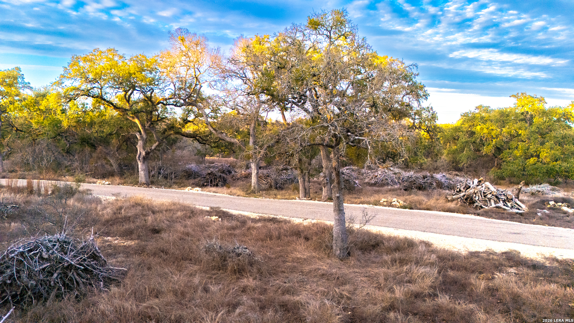 0 Rebecca Creek Road Spring Branch, TX 78070 - Photo 5 of 17 a view of a yard with a tree