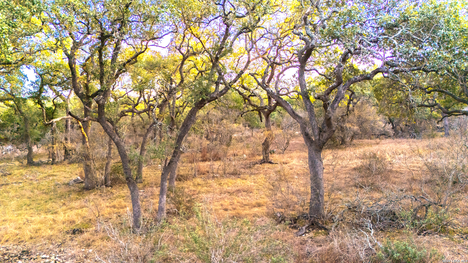0 Rebecca Creek Road Spring Branch, TX 78070 - Photo 9 of 17 a view of empty yard with tree