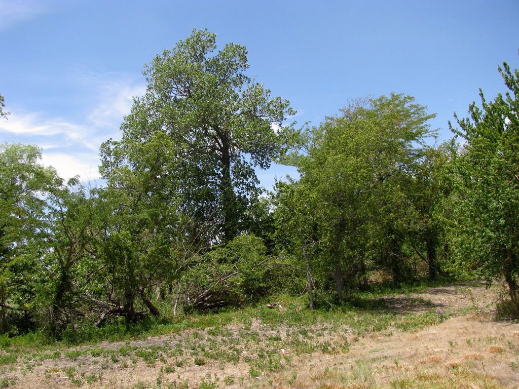 404 County Road 404 Hamilton, TX 76531 - Photo 12 of 25
