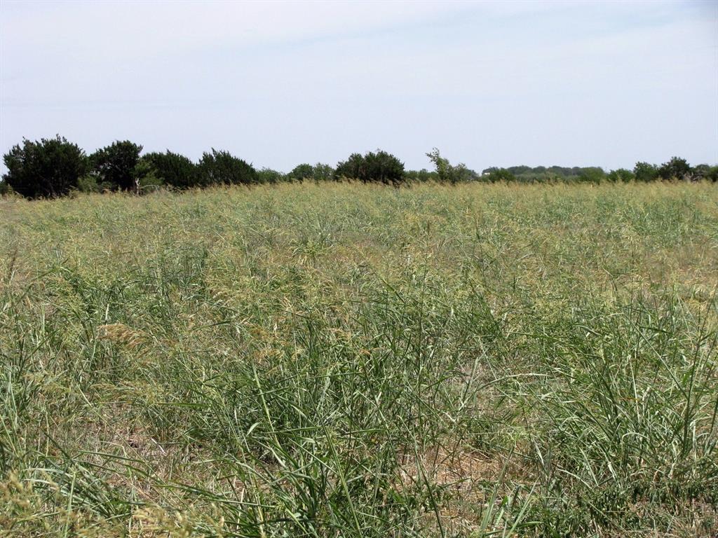 404 County Road 404 Hamilton, TX 76531 - Photo 14 of 25