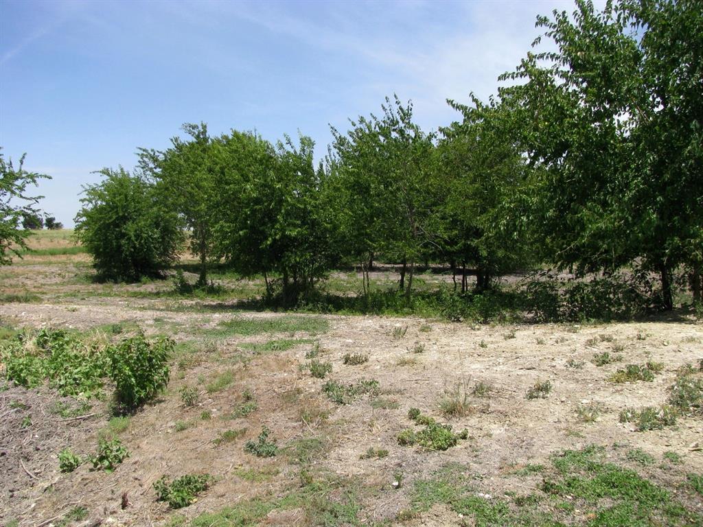 404 County Road 404 Hamilton, TX 76531 - Photo 4 of 25