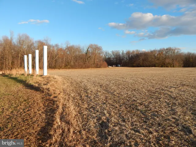a view of basketball court